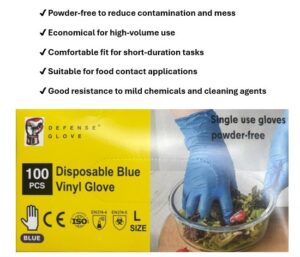 Disposable Blue Vinyl Gloves (Powder-Free)